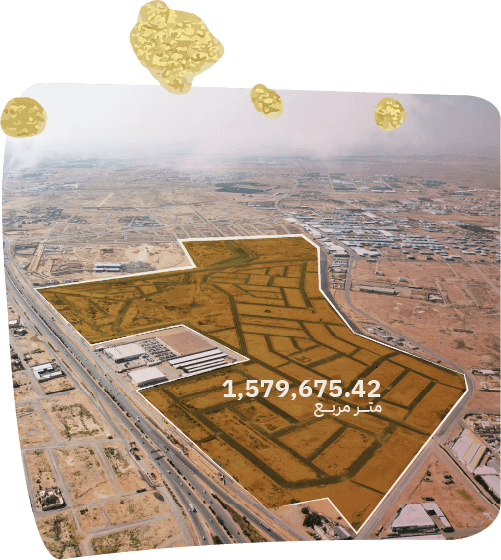 Plam Trees with dates