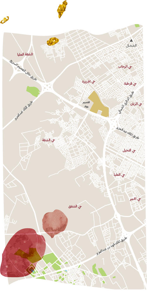 Plam Trees with dates